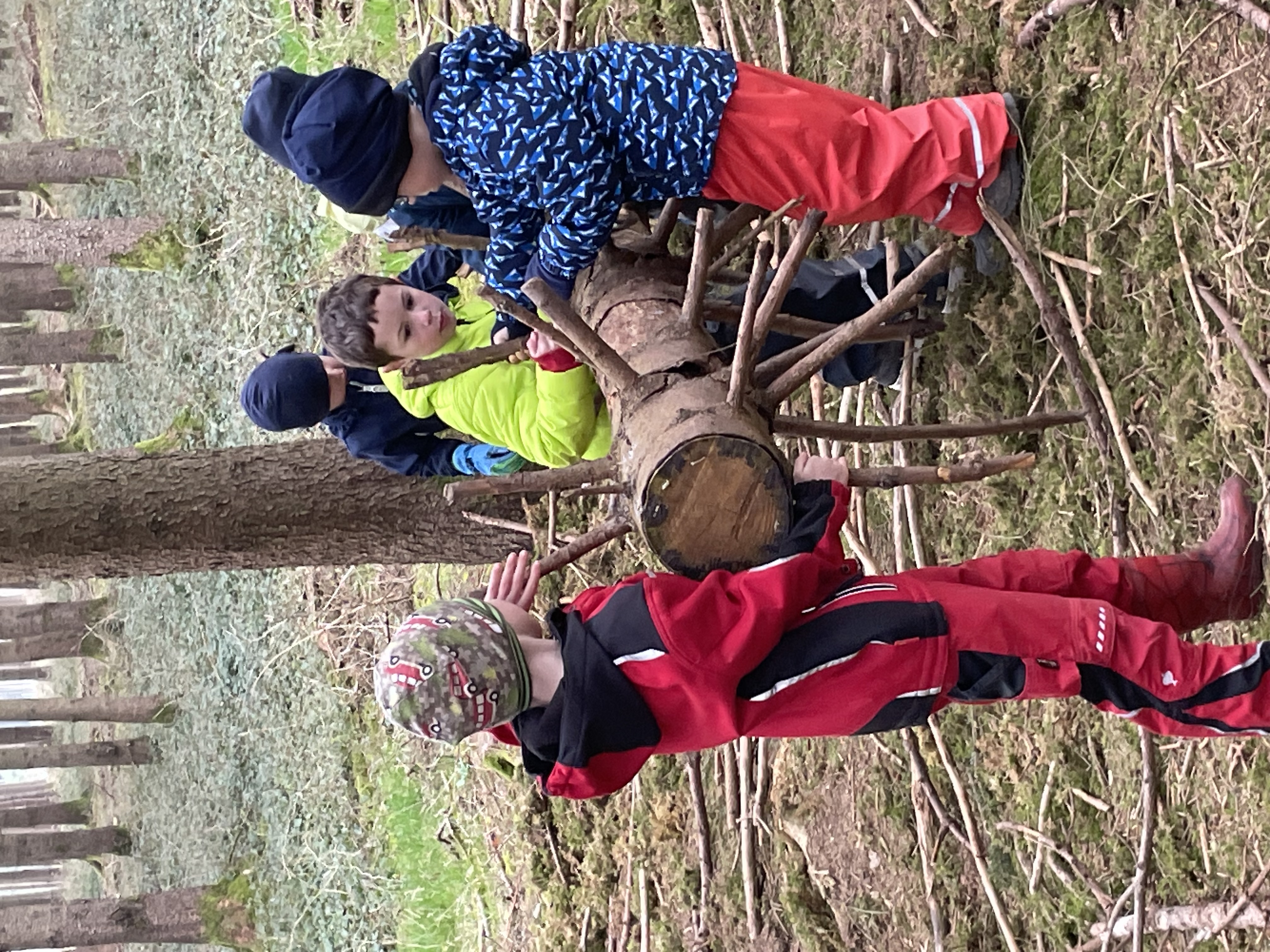 IMG 0214