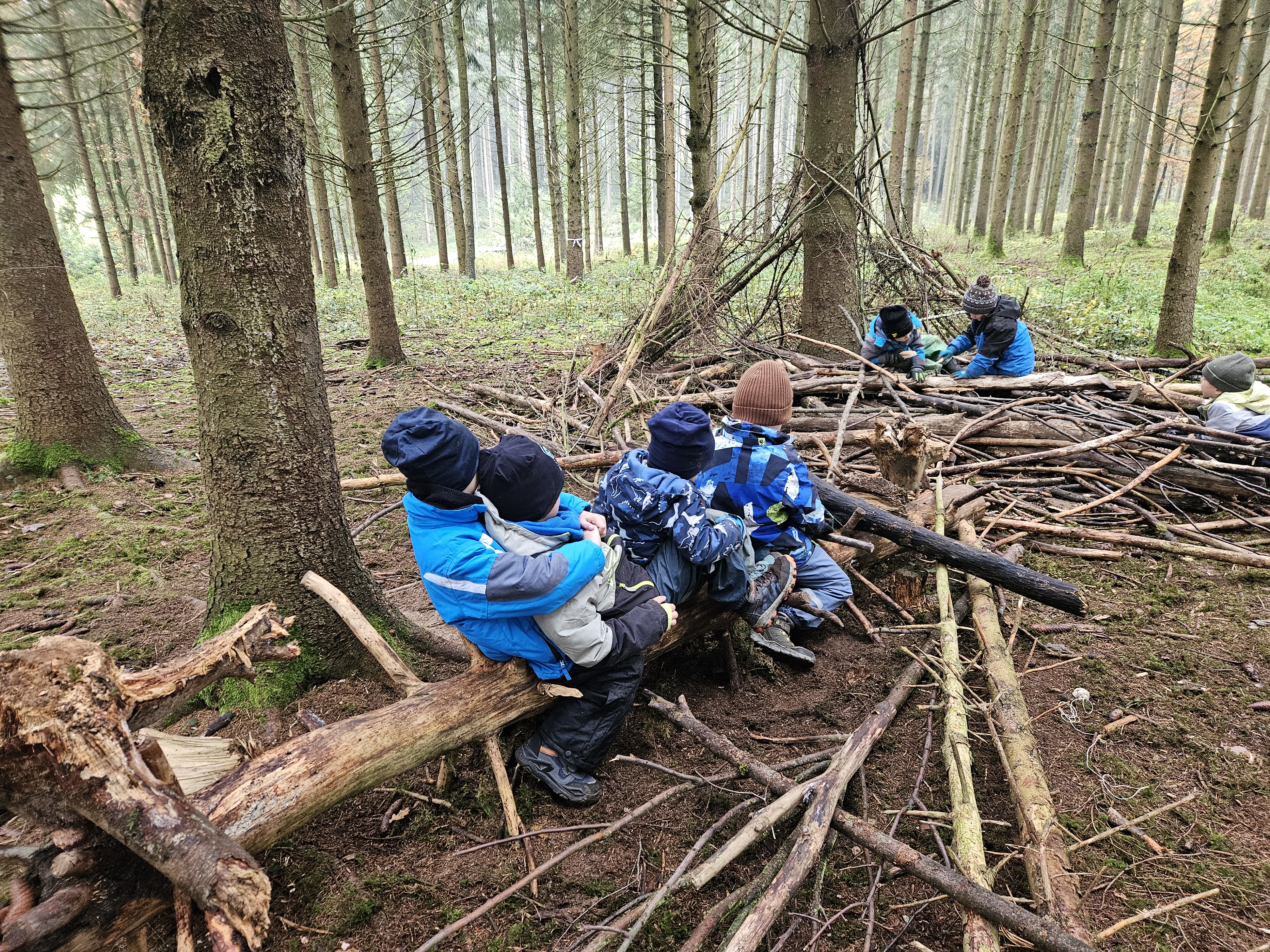 Erlebnisse der Waldgruppe Eule