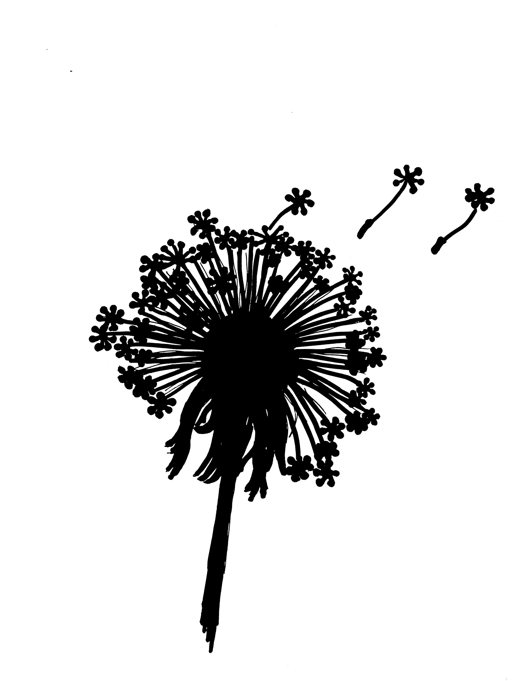 Pusteblume 200dpi