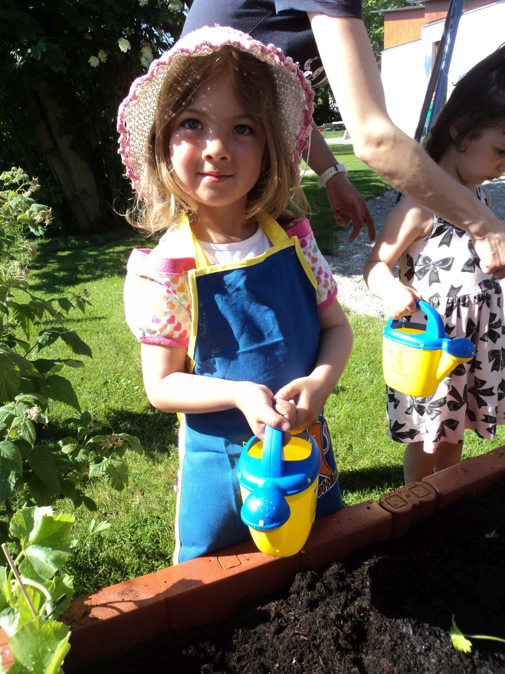 2015 06 15 Edeka Hochbeet Pusteblume 2
