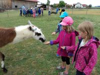 Wandertag-Erlebnistag-16